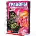 Гравюры феи WINX, голографический фон