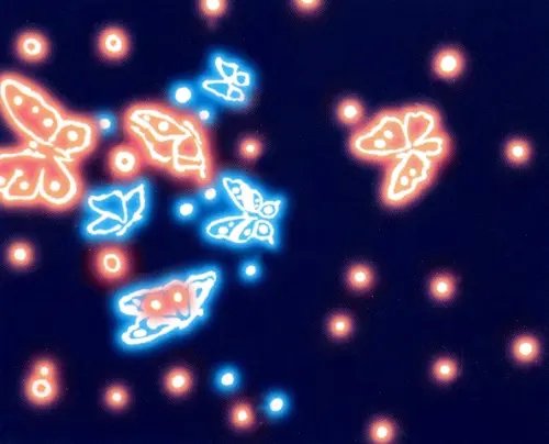 Живопись с неоновыми красками. Бабочки в банке Живопись с неоновыми красками. Бабочки в банке