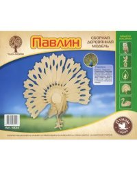 Сборная деревянная модель. Павлин