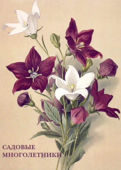 Открытки Набор открыток. Садовые многолетники