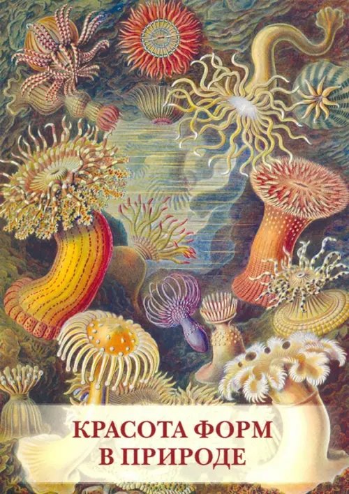 Открытки Набор открыток. Красота форм в природе