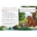 Дополнительное изображение книги «Что такое дружба? Энциклопедия для малышей в сказках»