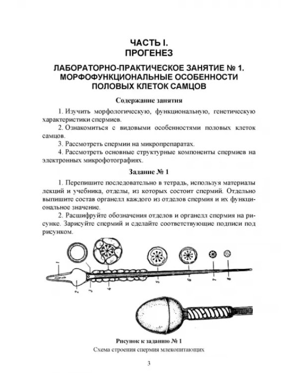 Биология размножения и развития. Лабораторный практикум. Учебно-методическое пособие