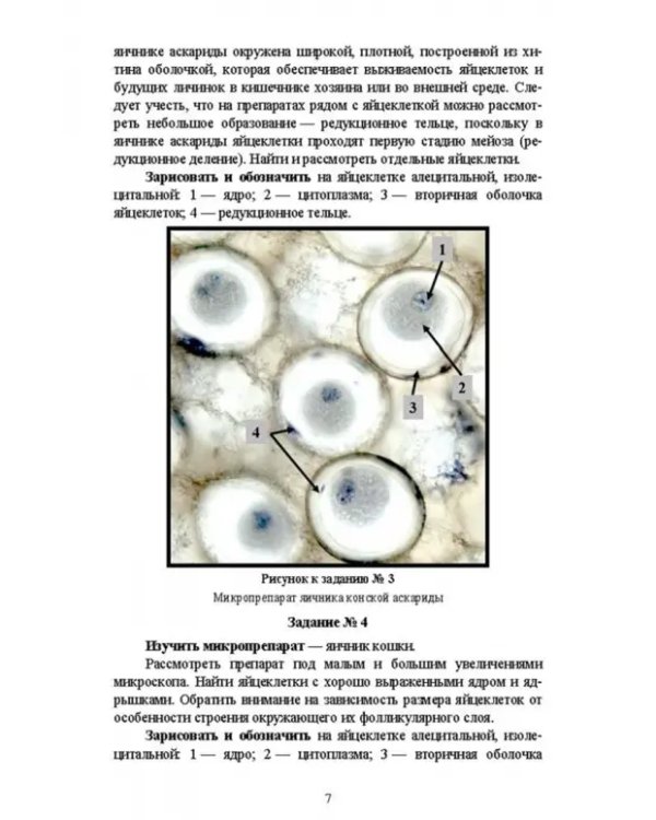 Биология размножения и развития. Лабораторный практикум. Учебно-методическое пособие
