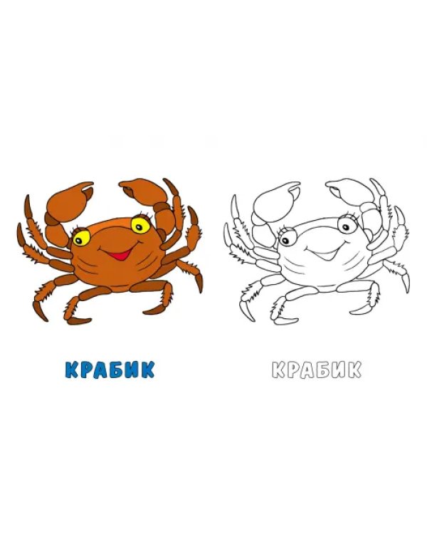Осьминожек и его друзья