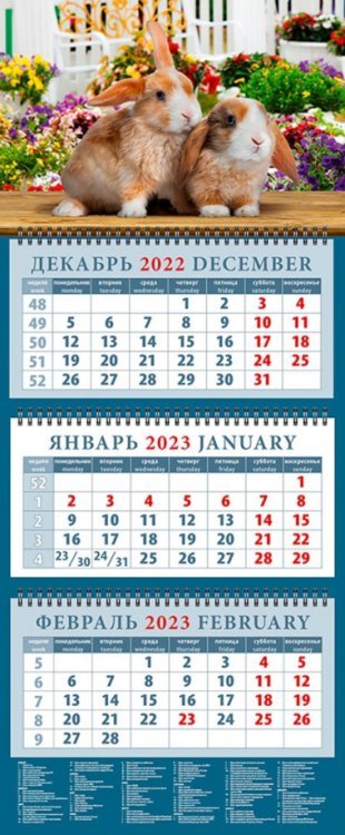 Обложка книги «Календарь на 2023 год. Год кролика. Забавные малыши»