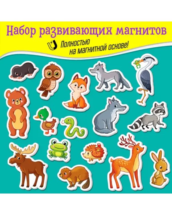Игры на магнитах. Лесные животные