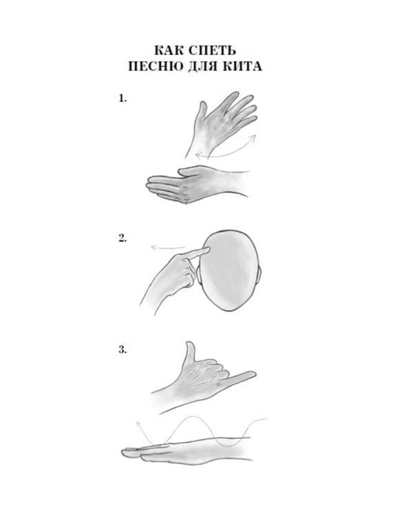 Песня для кита