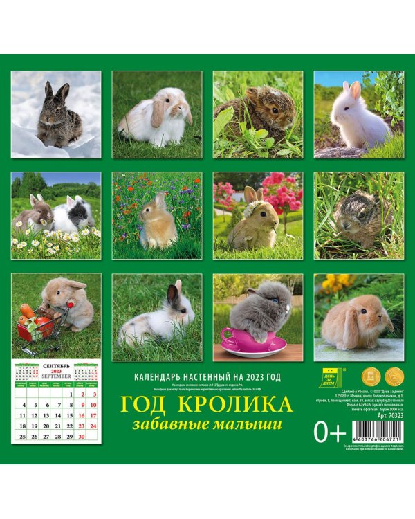 Дополнительное изображение книги «Календарь на 2023 год. Год кролика. Забавные малыши»