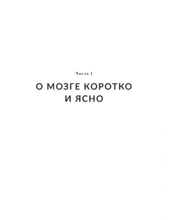 Мозг на все сто. Анатомия выбора и четыре персонажа, управляющие вашей жизнью
