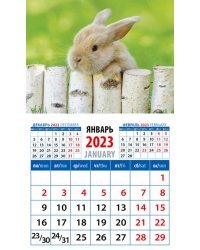 Календарь на 2023 год. Год кролика. Обаятельный малыш