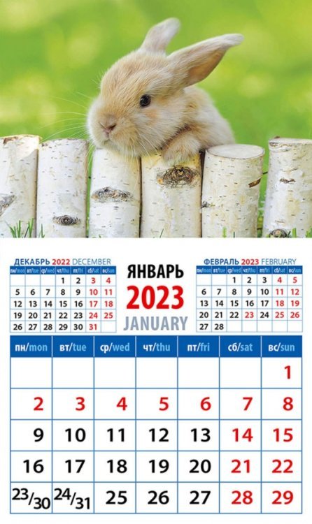 Календарь на 2023 год. Год кролика. Обаятельный малыш