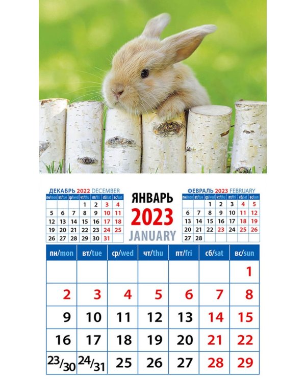 Календарь на 2023 год. Год кролика. Обаятельный малыш