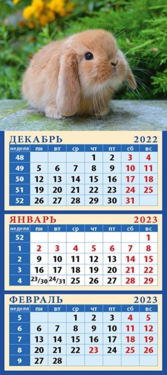 Календарь на 2023 год. Год кролика. Симпатичный малыш