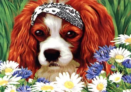 Алмазная мозаика. Маленький спаниель Алмазная мозаика. Маленький спаниель