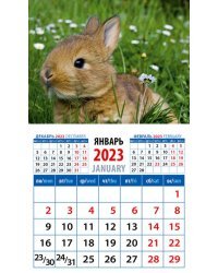 Календарь на 2023 год. Год кролика. Забавный малыш в траве