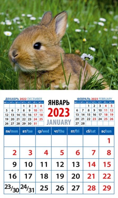 Календарь на 2023 год. Год кролика. Забавный малыш в траве