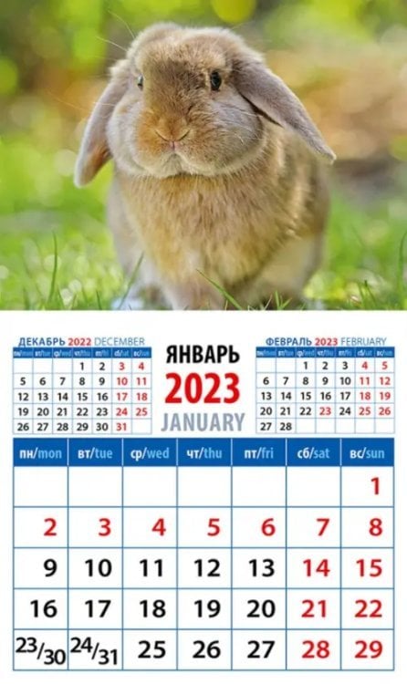 Календарь на магните 94х167 Календарь на 2023 год. Год кролика. Обаятельный и привлекательный