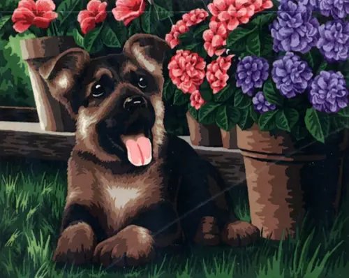 Рисование по номерам. Маленький друг