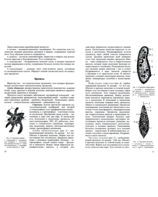 Биология. Интенсивный курс