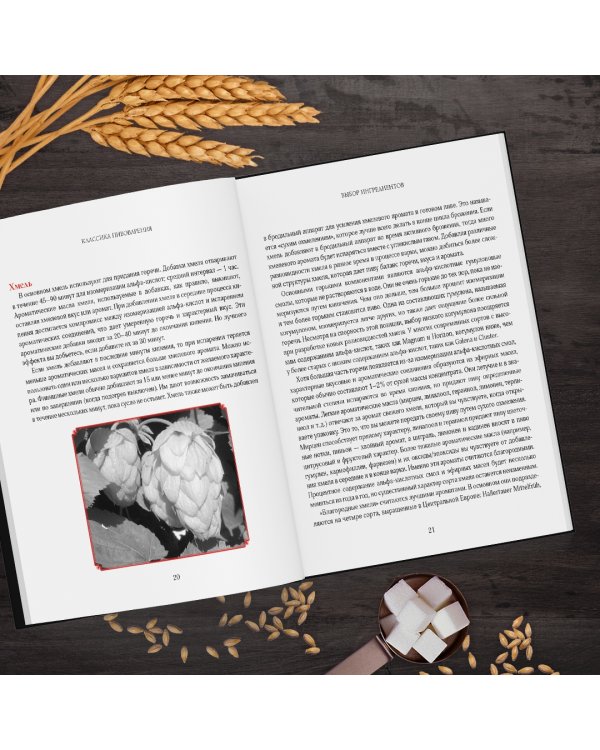 Классика пивоварения. Все стили и виды пива от эля до лагера