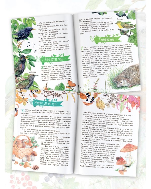 Лесные сказки