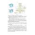 Компьютерная 2d-графика. Программирование в MathCAD. СПО