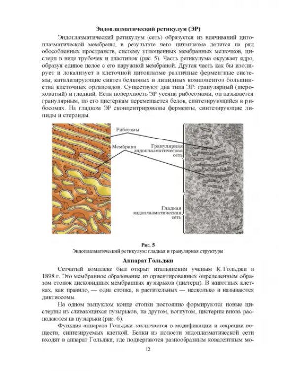 Экологическая биотехнология. Учебное пособие