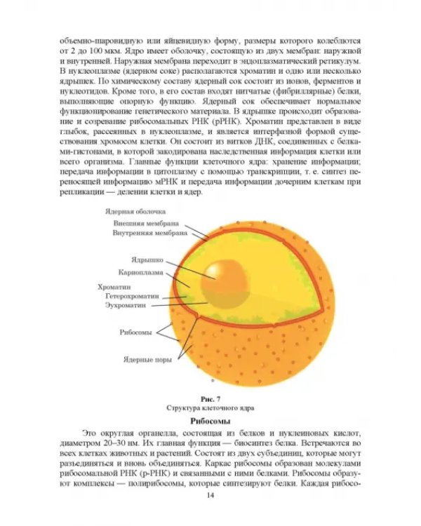 Экологическая биотехнология. Учебное пособие