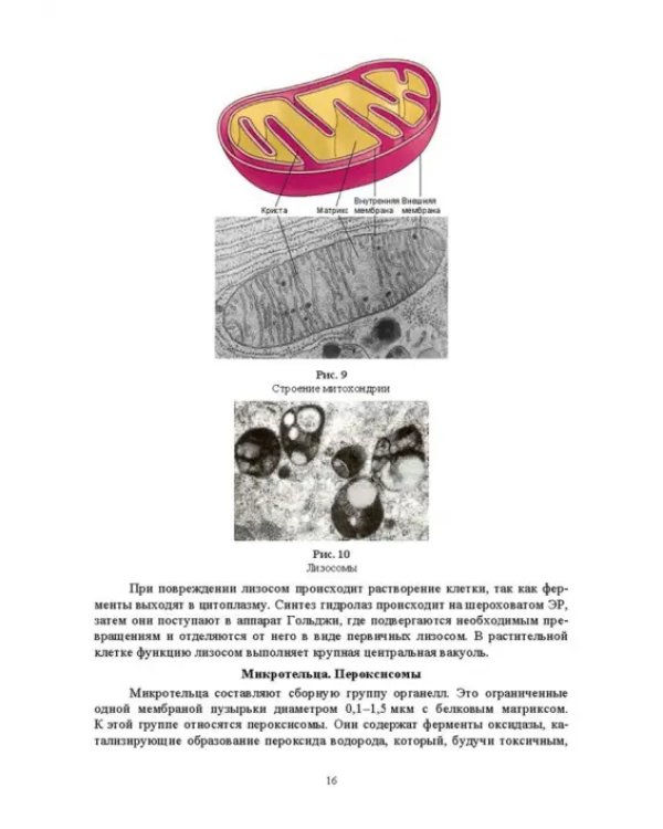 Экологическая биотехнология. Учебное пособие