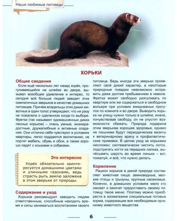 Наши любимые питомцы