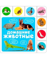 Домашние животные