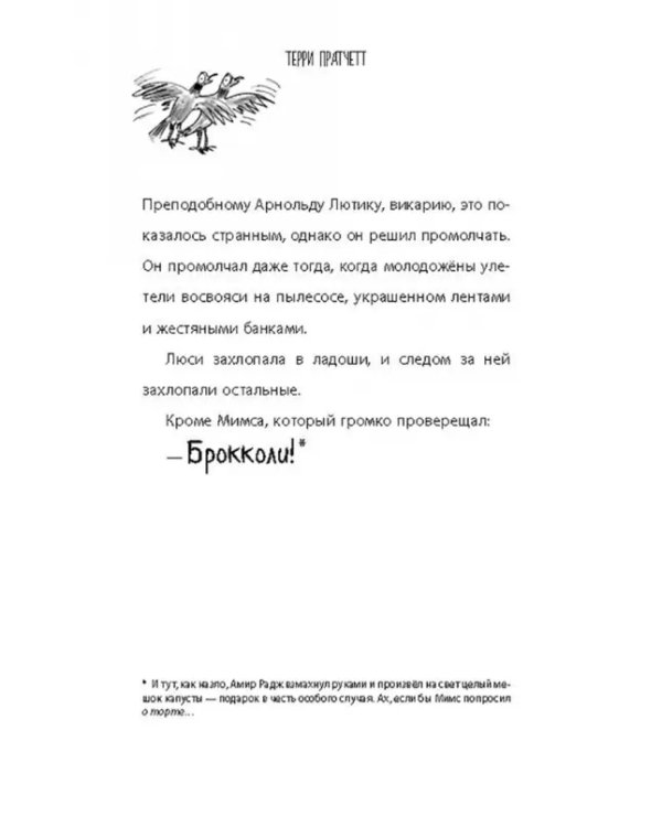 Ведьма на пылесосе