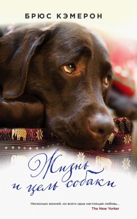 Тот, кто не предаст (обл) Жизнь и цель собаки