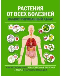 Растения от всех болезней. Иллюстрированный атлас