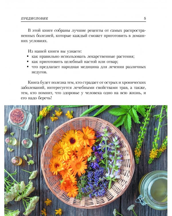 Растения от всех болезней. Иллюстрированный атлас