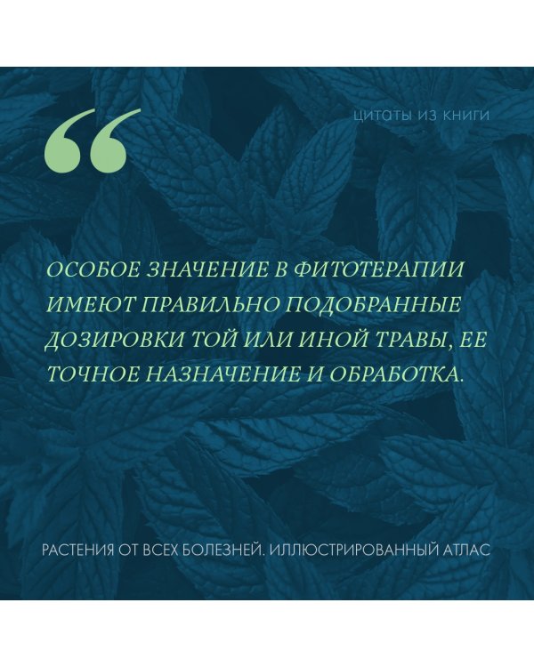 Растения от всех болезней. Иллюстрированный атлас