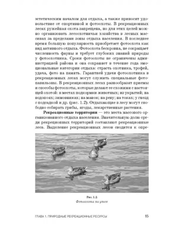 Рекреационное лесоводство. Учебник