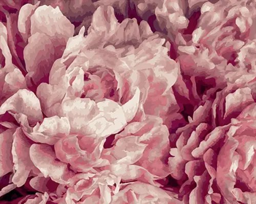 Картина по номерам Нежные пионы Картина по номерам Нежные пионы