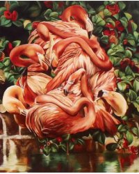 Картина по номерам на холсте. Фламинго