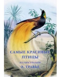 Набор открыток. Самые красивые птицы