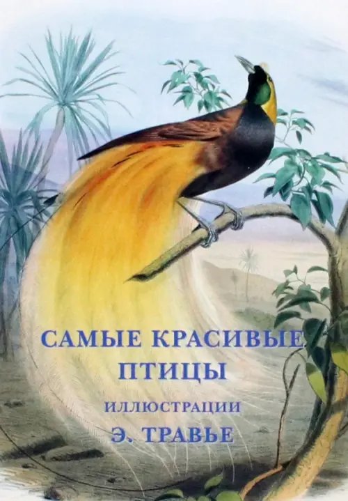 Обложка книги «Набор открыток. Самые красивые птицы», ISBN 9785779346108