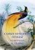 Обложка книги «Набор открыток. Самые красивые птицы», ISBN 9785779346108