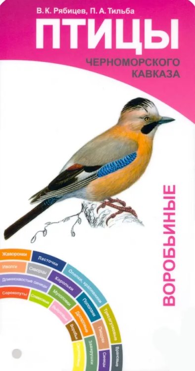 Птицы Черноморского Кавказа. Воробьиные и неворобьиные. Веер-определитель Птицы Черноморского Кавказа. Воробьиные и неворобьиные. Веер-определитель