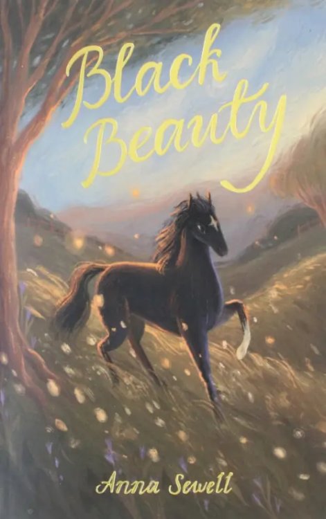 Exclusive Collection Black Beauty