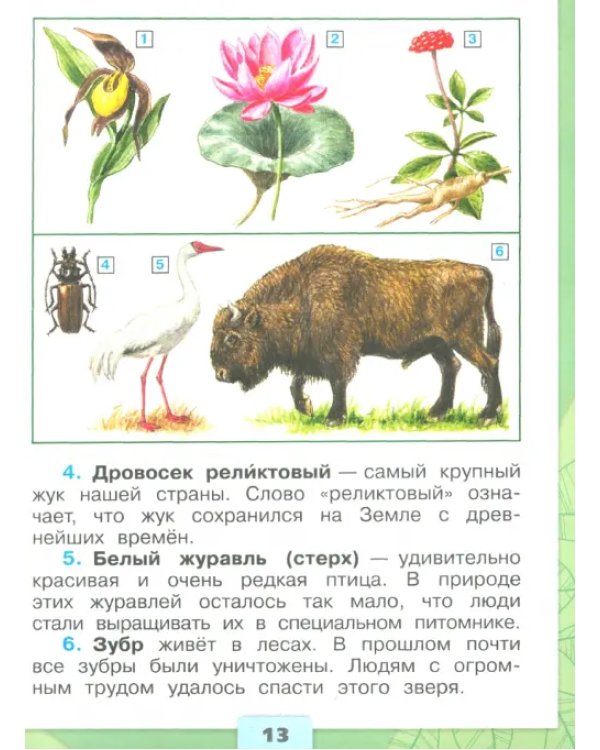 Окружающий мир. Первый год обучения. Учебное пособие. В 3-х частях. ФГОС