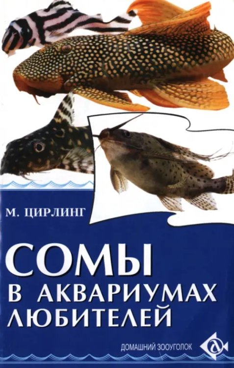 Домашний зооуголок Сомы в аквариумах любителей