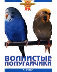 Волнистые попугайчики