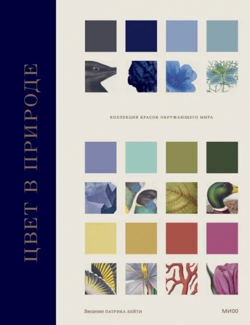 Анатомия цвета Цвет в природе. Коллекция красок окружающего мира