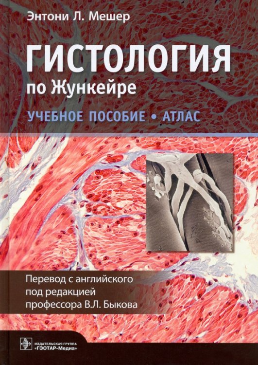 Гистология по Жункейре Гистология по Жункейре